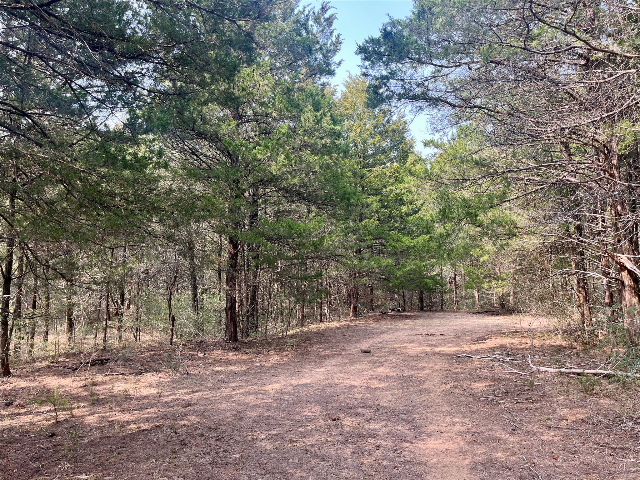 Tbd Hayek Road Columbus, TX 78934 - Photo 15 of 19