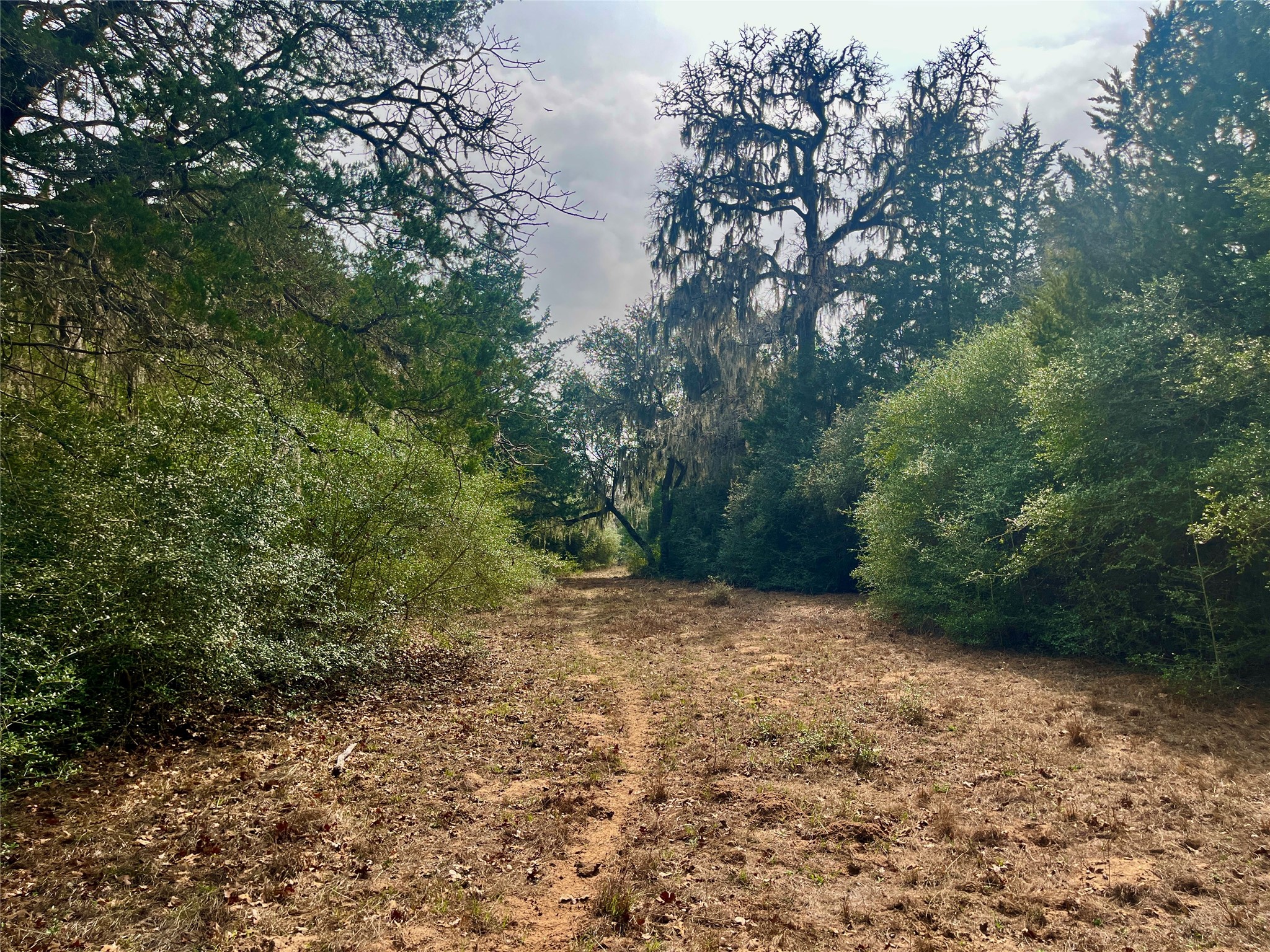 Tbd Hayek Road Columbus, TX 78934 - Photo 16 of 19