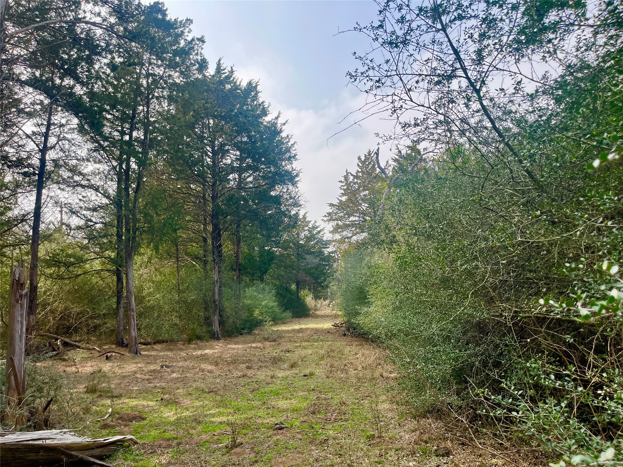 Tbd Hayek Road Columbus, TX 78934 - Photo 17 of 19