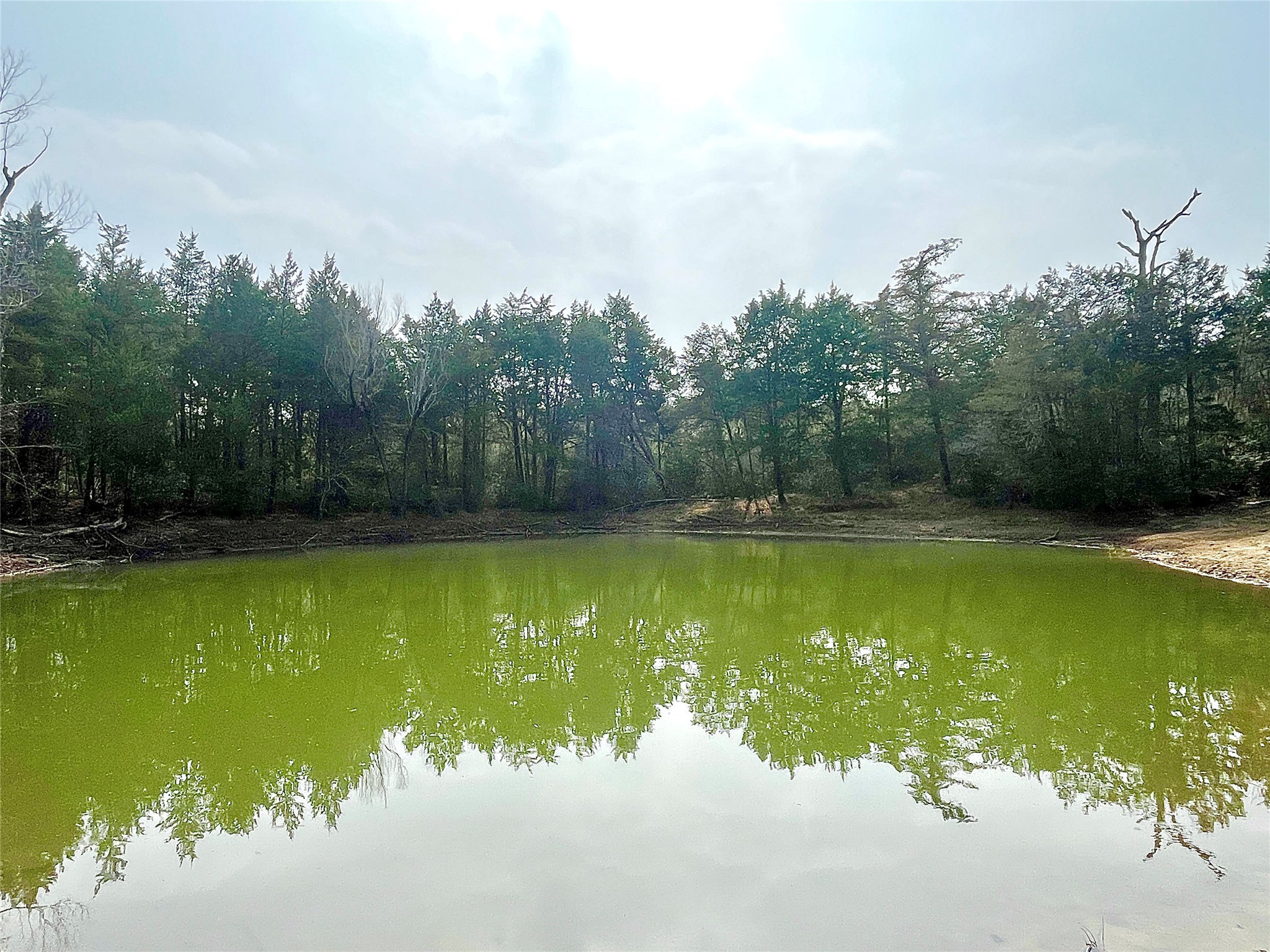 Tbd Hayek Road Columbus, TX 78934 - Photo 2 of 19