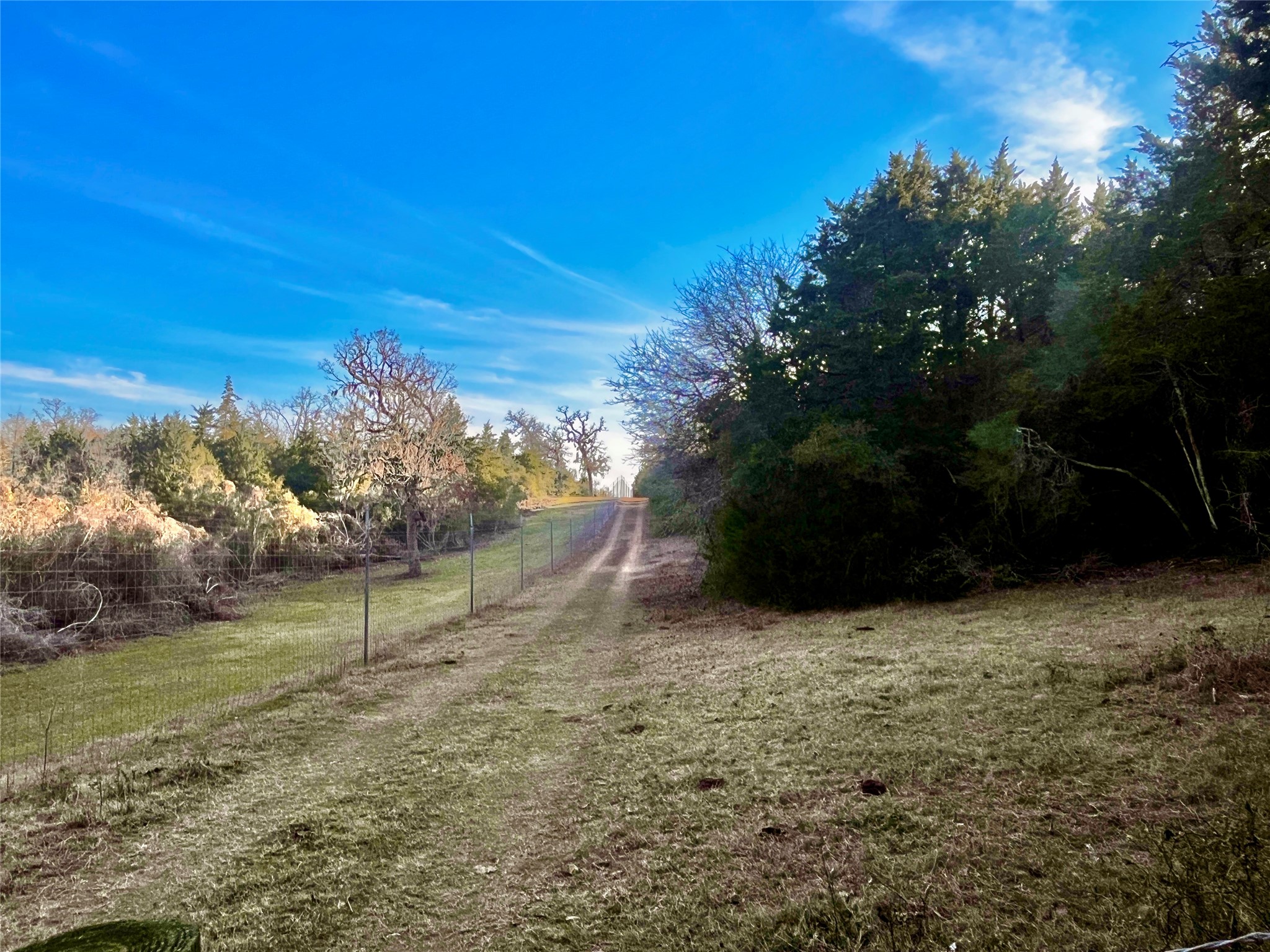 Tbd Hayek Road Columbus, TX 78934 - Photo 3 of 19