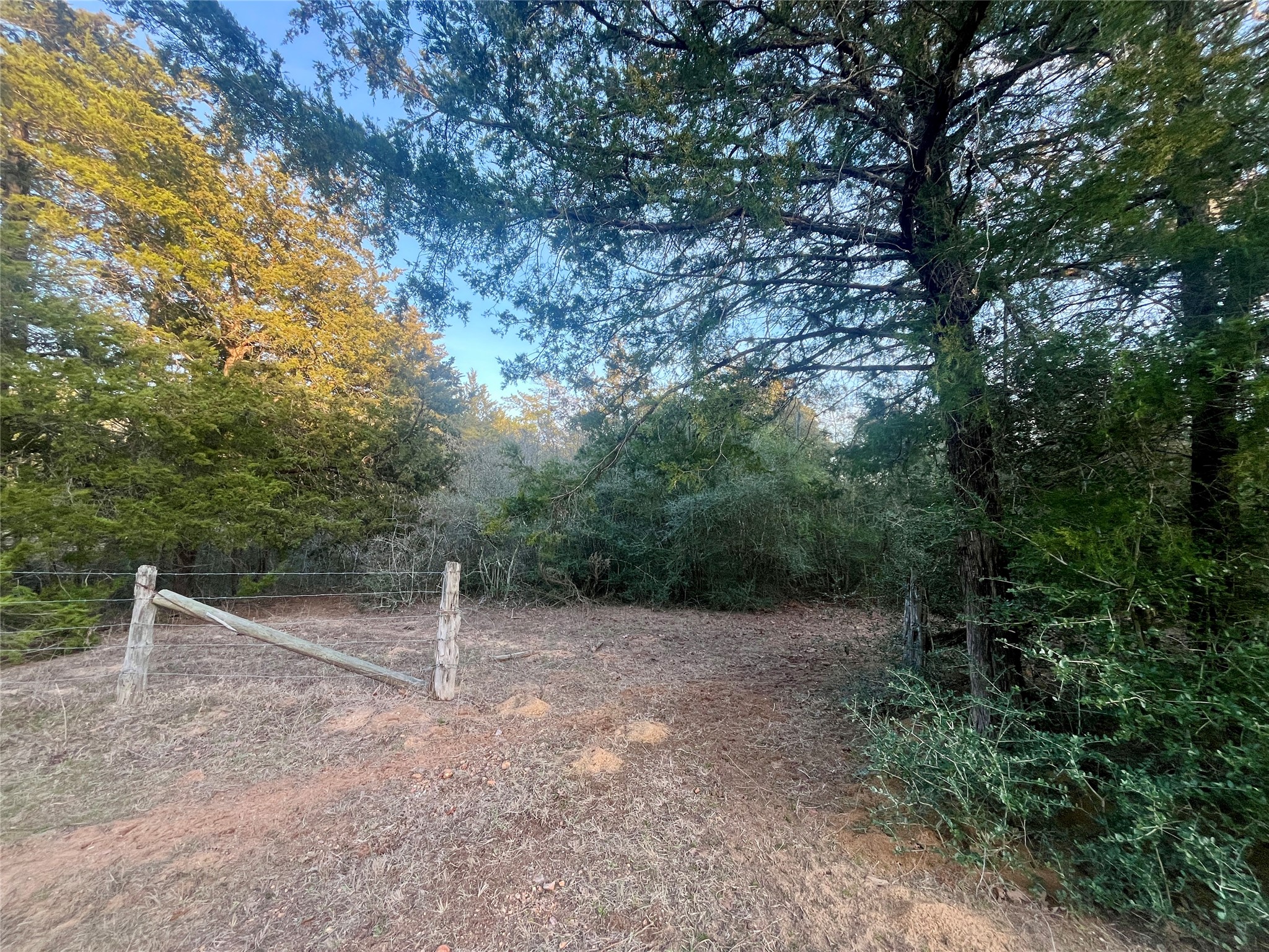 Tbd Hayek Road Columbus, TX 78934 - Photo 4 of 19 Entrance from easement