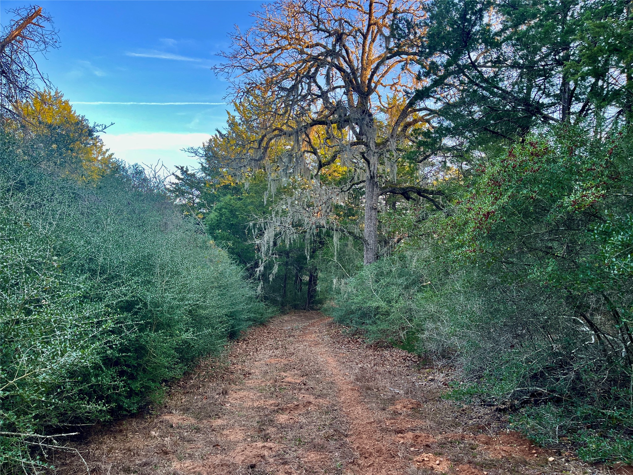 Tbd Hayek Road Columbus, TX 78934 - Photo 5 of 19
