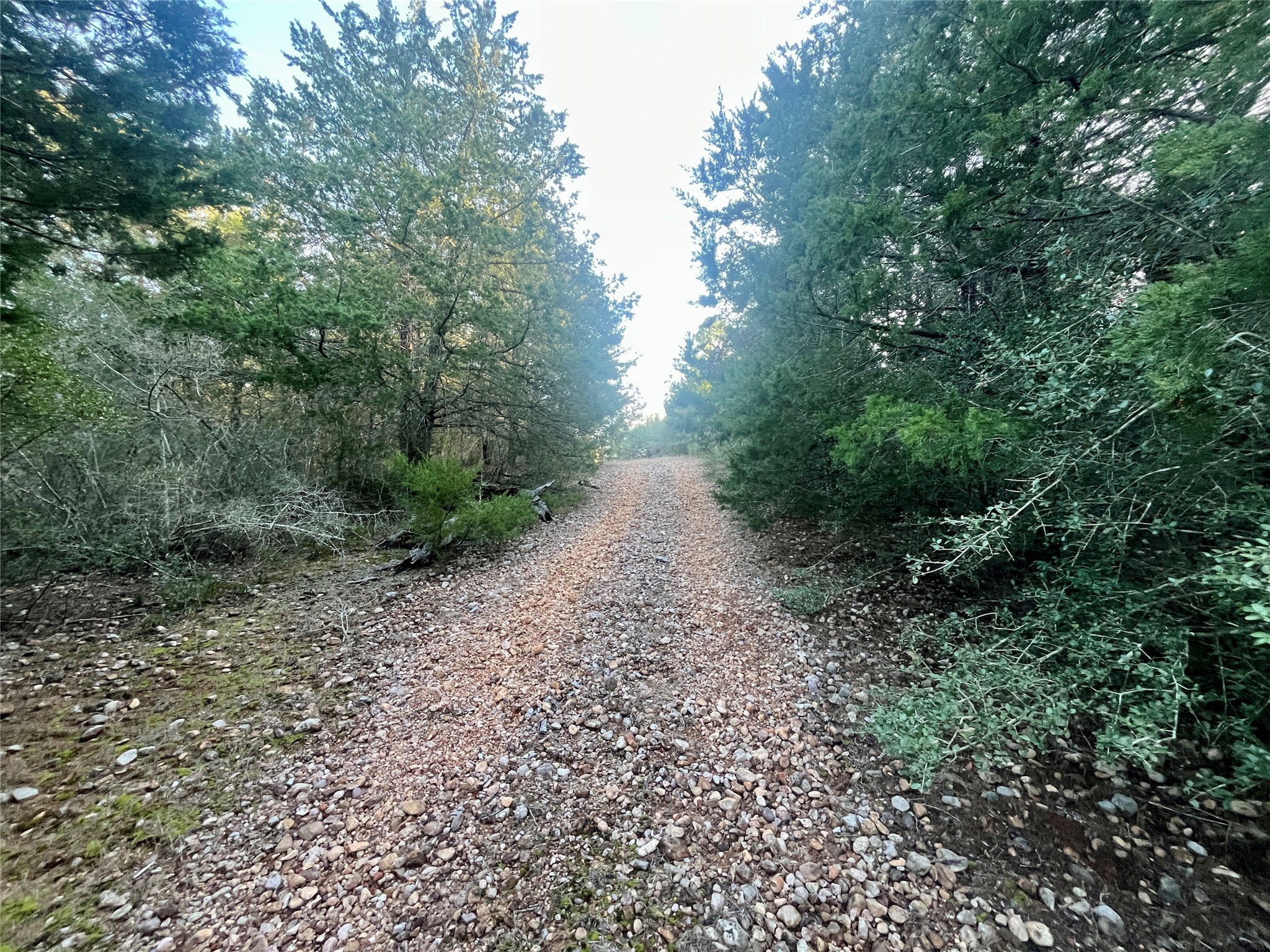 Tbd Hayek Road Columbus, TX 78934 - Photo 6 of 19