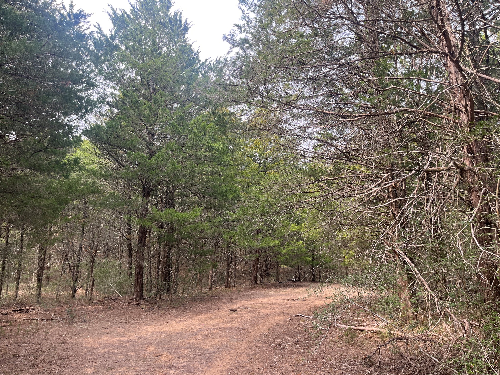 Tbd Hayek Road Columbus, TX 78934 - Photo 9 of 19