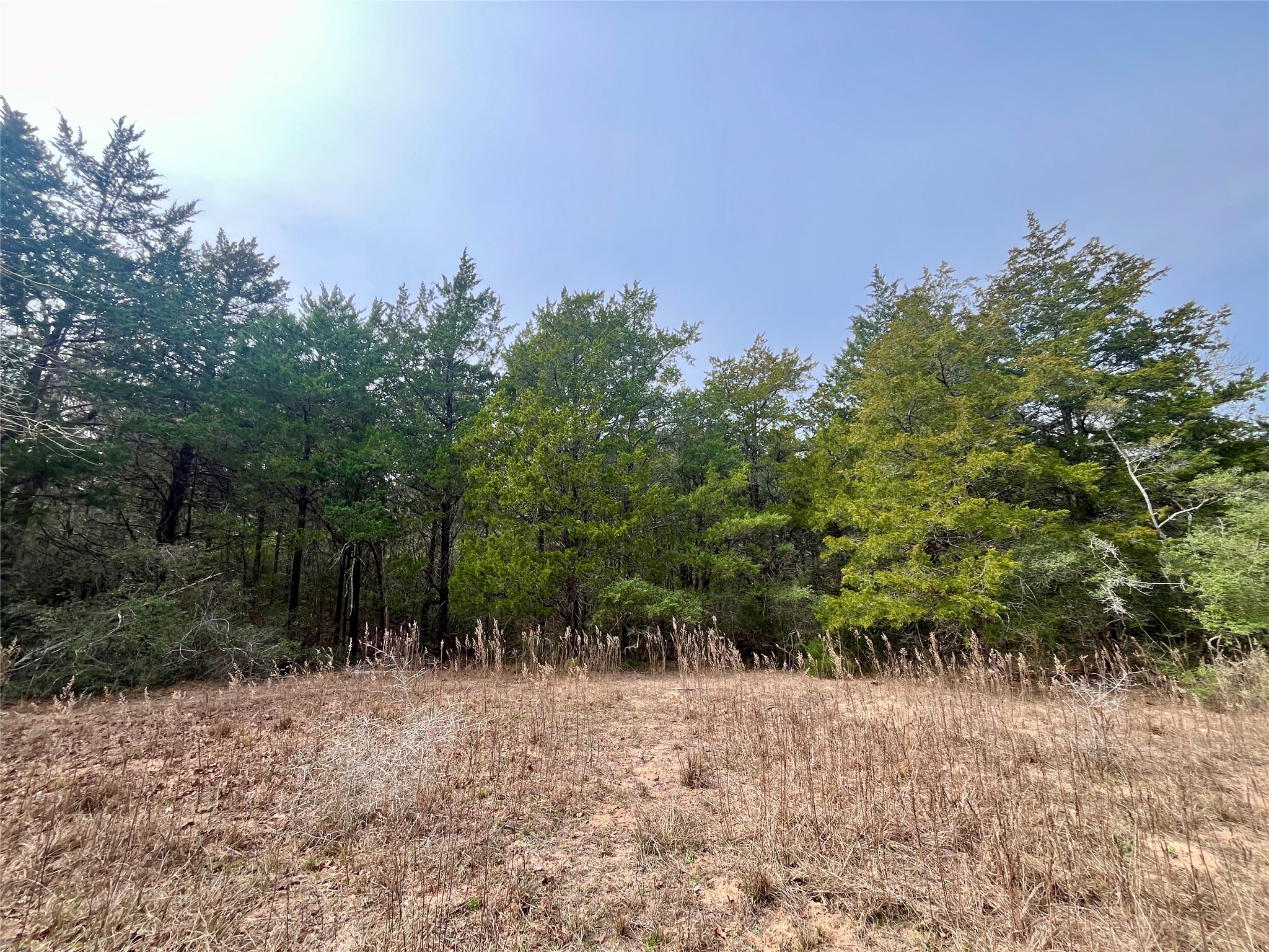 Tbd Hayek Road Columbus, TX 78934 - Photo 10 of 19