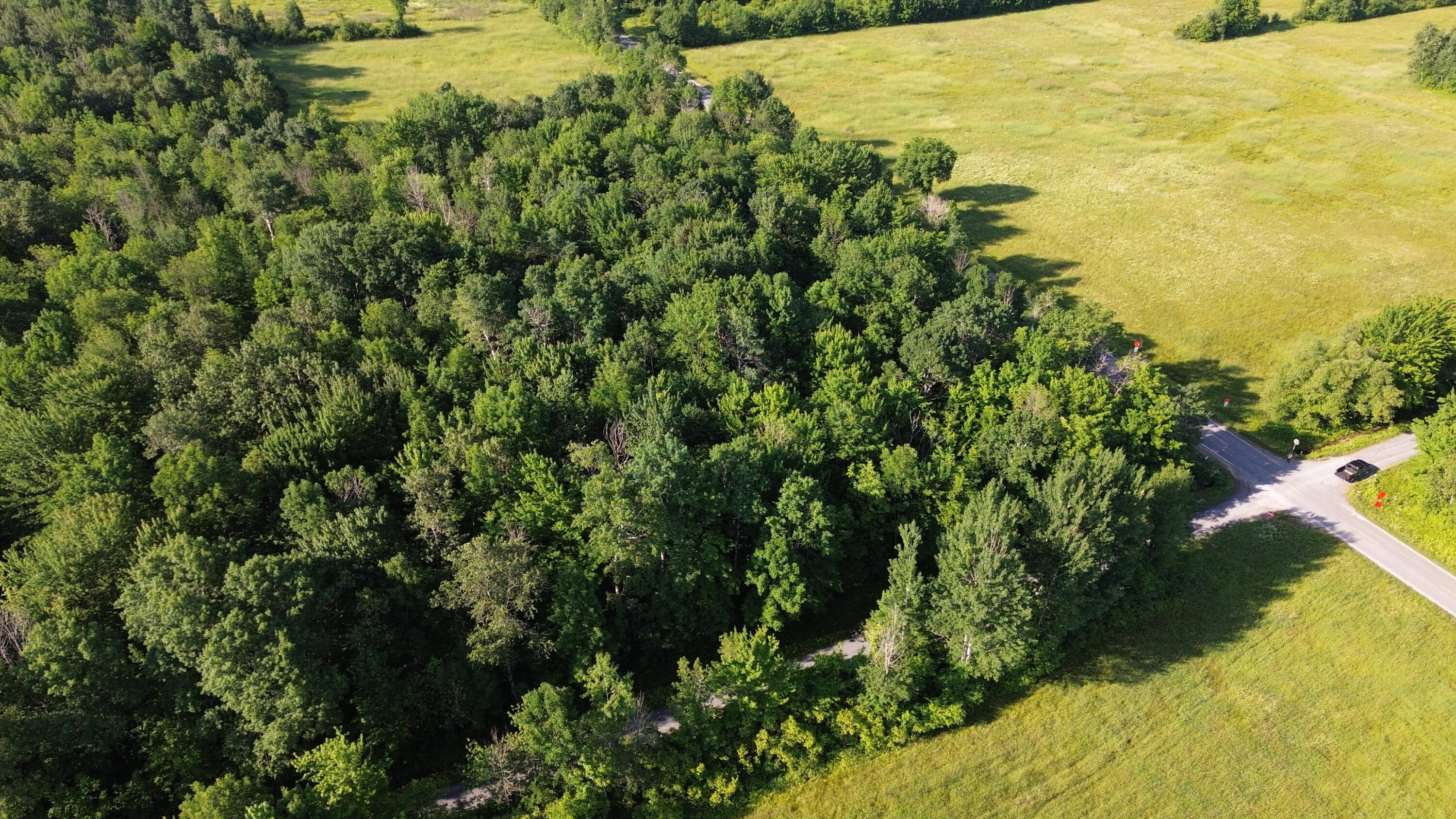 . Lost Nation Road Churubusco, NY 12923 - Photo 13 of 34 DJI_0471