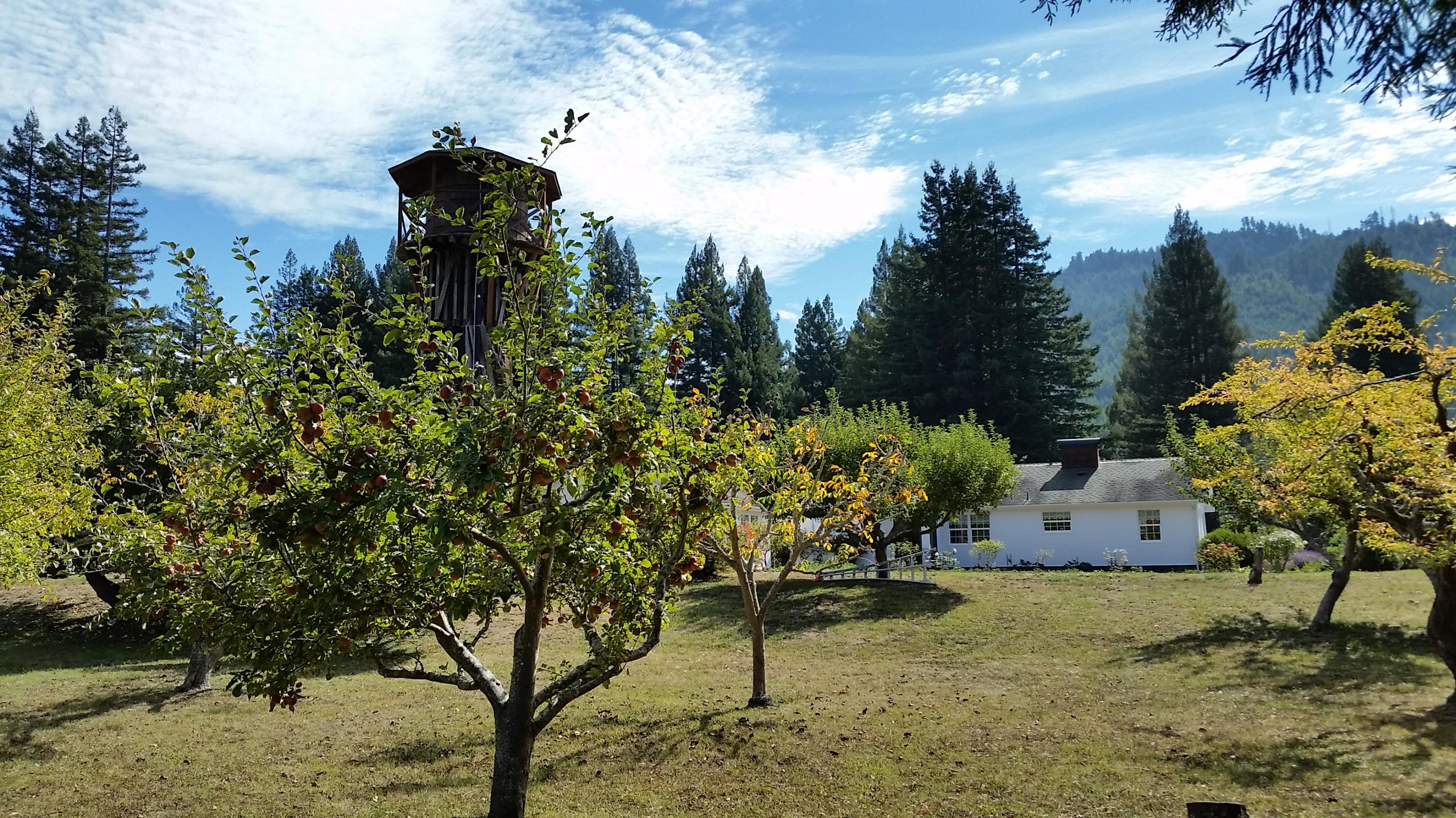 719 North Road Scotia, CA 95565 - Photo 12 of 51