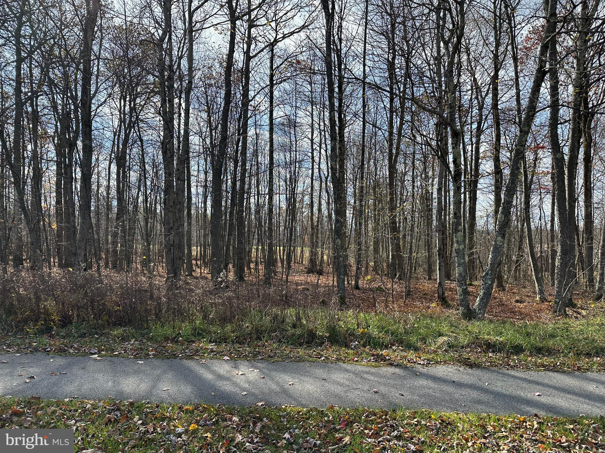 60 Sundance Way McHenry, MD 21541 - Photo 1 of 16 a view of a backyard