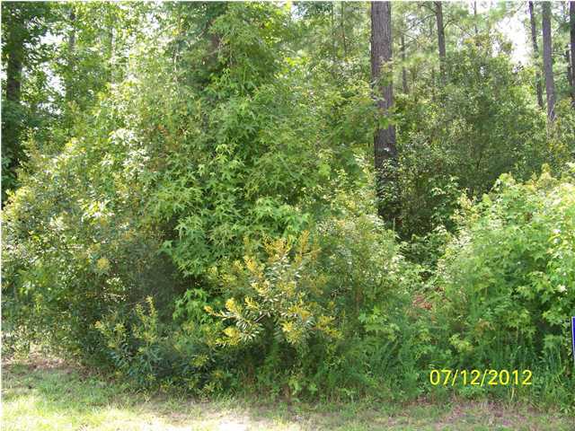 44 Briar Bend Road Ridgeville, SC 29472 - Photo 1 of 3 Primary Photo