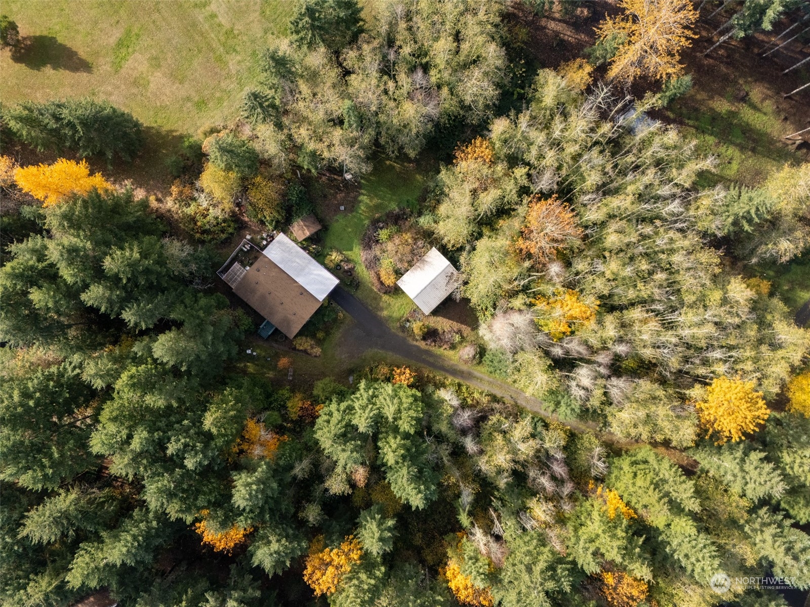 264 Easy Street Road Silverlake, WA 98645 - Photo 8 of 40 Gallery Image 8