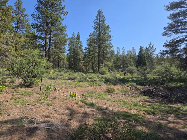 $24,000 | Meadow Lark Drive, Bonanza, OR 97623