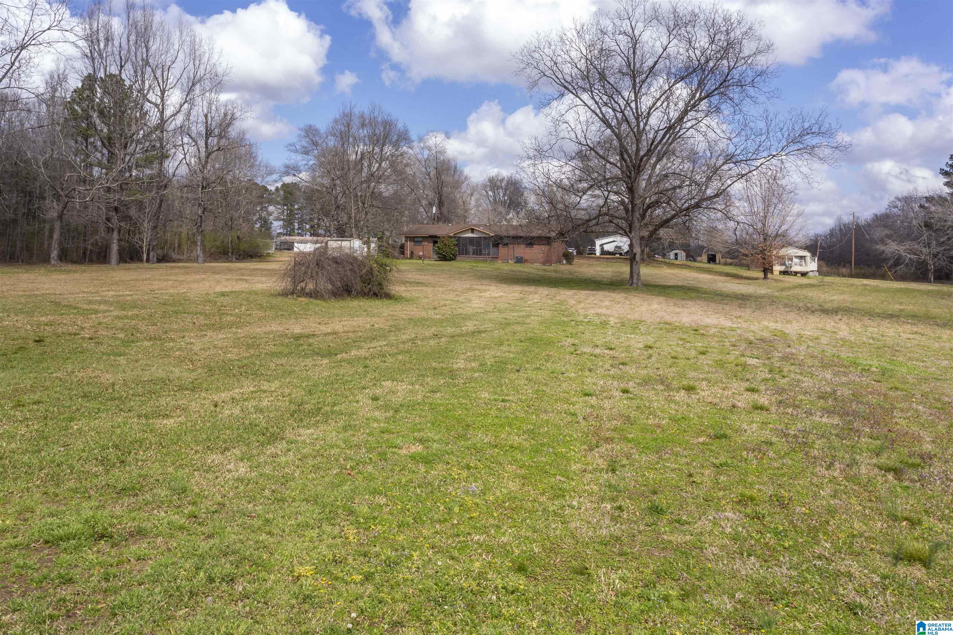 115 Thomas Road Sumiton, AL 35148 - Photo 10 of 46
