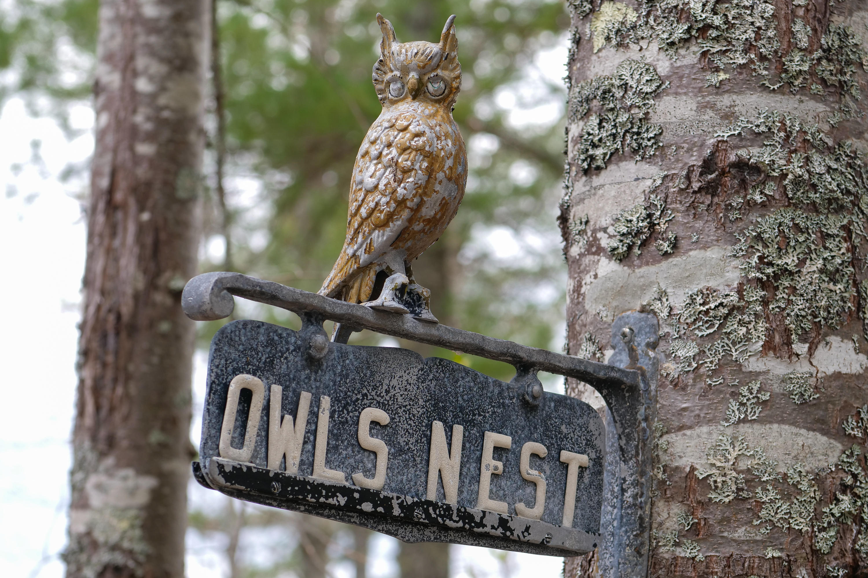150 Leona Wilbur Road Ellsworth, ME 04605 - Photo 39 of 39 150 Leona Wilber HiRes-18