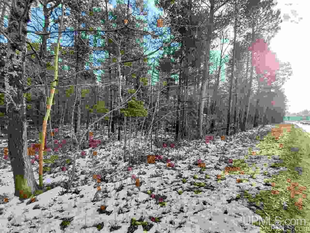 11.64 Acres Co Road Marquette, MI 49855 - Photo 4 of 8