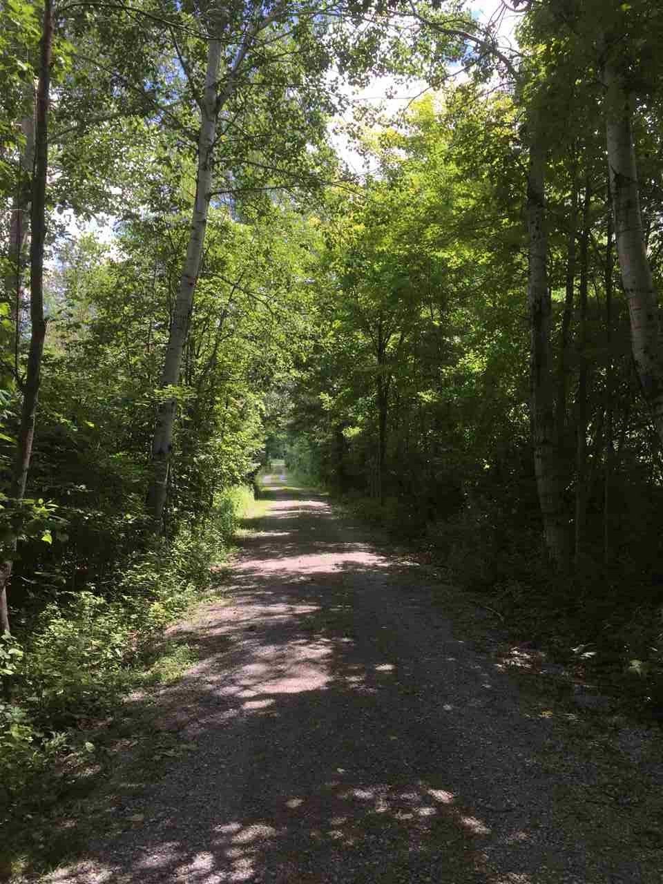 12600 Fordney Road Chesaning, MI 48616 - Photo 21 of 30 Gallery Image 21