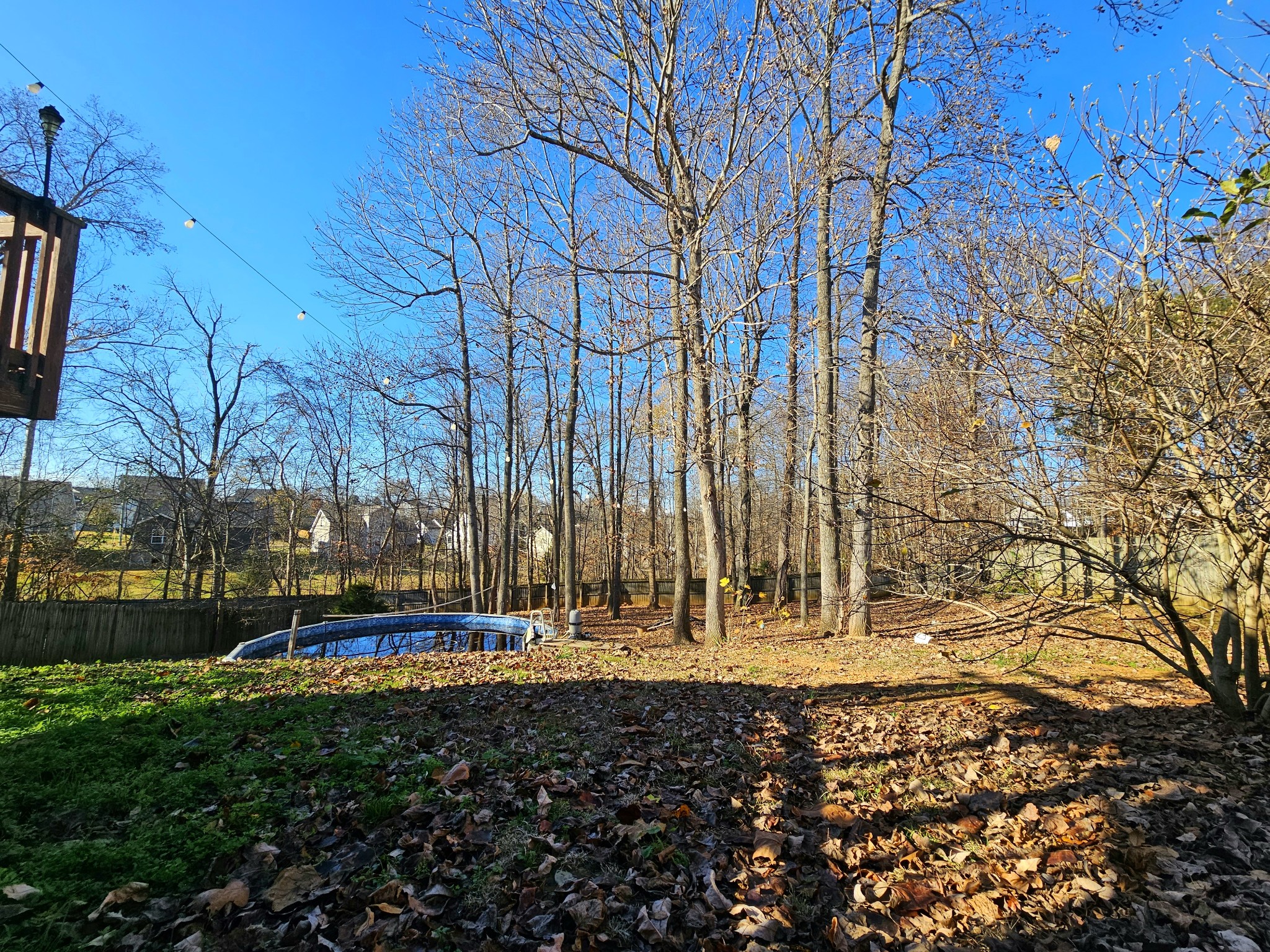 2883 Rome Lane Clarksville, TN 37040 - Photo 21 of 23 a view of yard