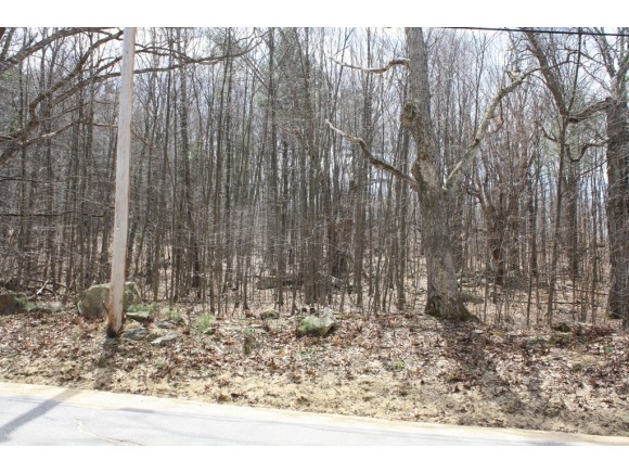 Lot 1 Ricky Nelson Road Strafford, NH 03884 - Photo 1 of 2