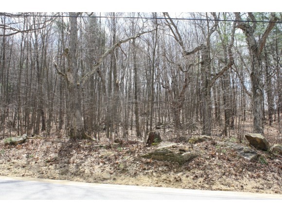 Lot 1 Ricky Nelson Road Strafford, NH 03884 - Photo 2 of 2