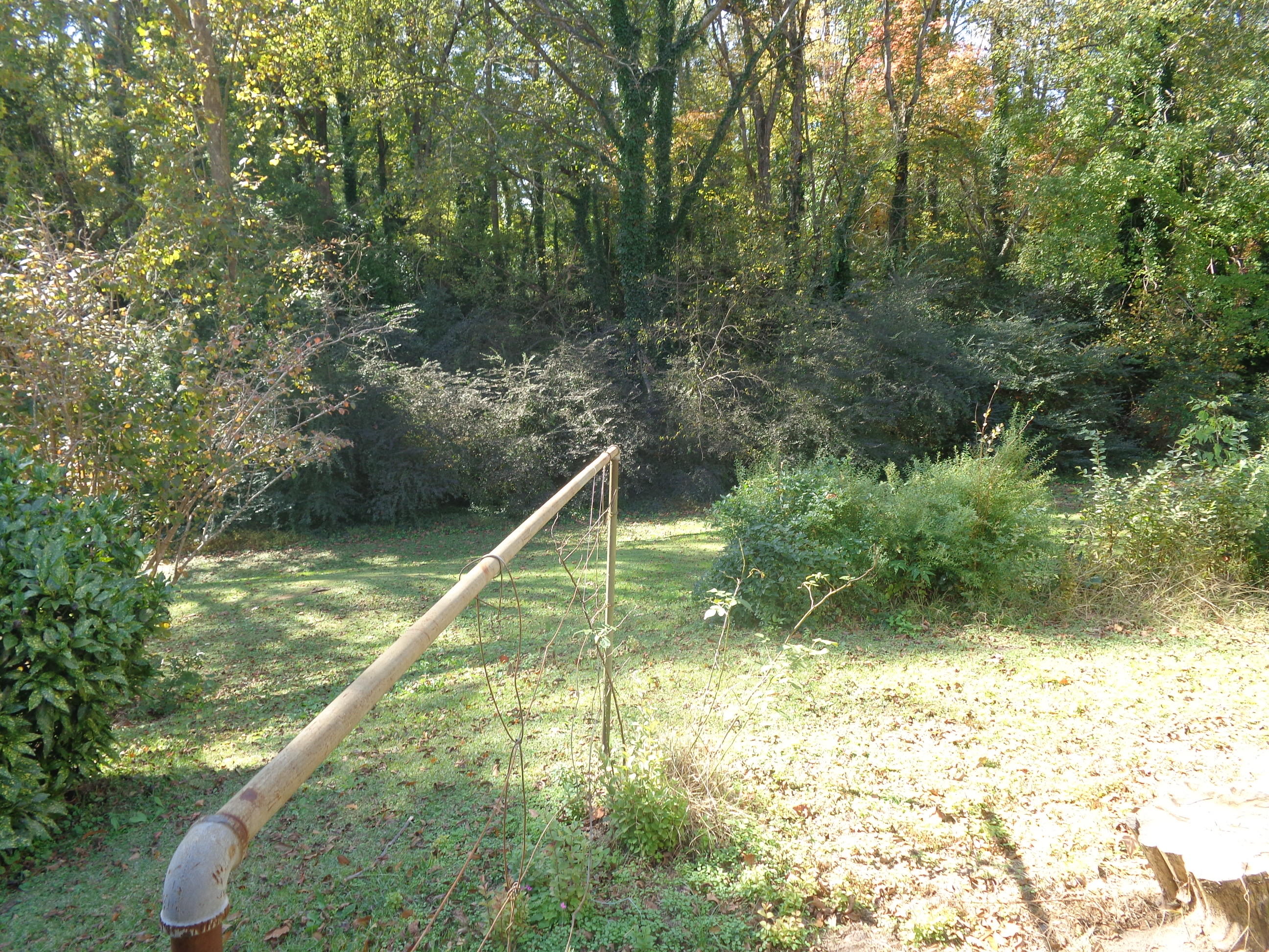 617 North Lee Street Rockingham, NC 28379 - Photo 22 of 34 Back yard