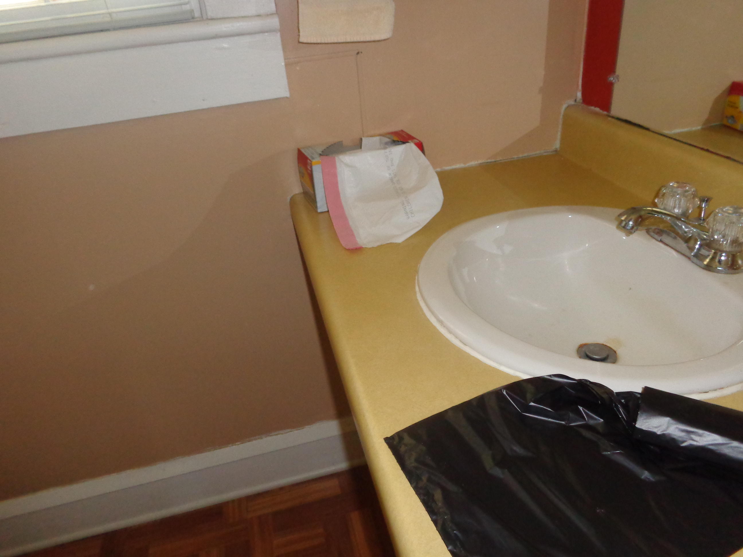 617 North Lee Street Rockingham, NC 28379 - Photo 28 of 34 Sink in bath