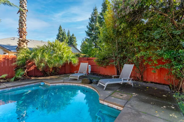 a view of a backyard with plants and a patio