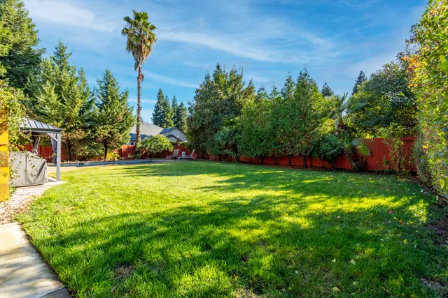 a view of a house with a backyard and a tree