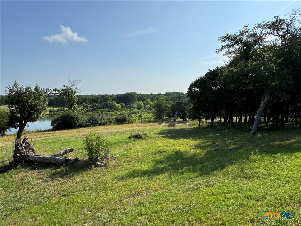 6031 Buggy Ride Road Temple, TX 76502 - Photo 8 of 13
