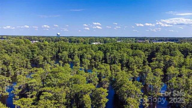a view of a big yard and potted plants