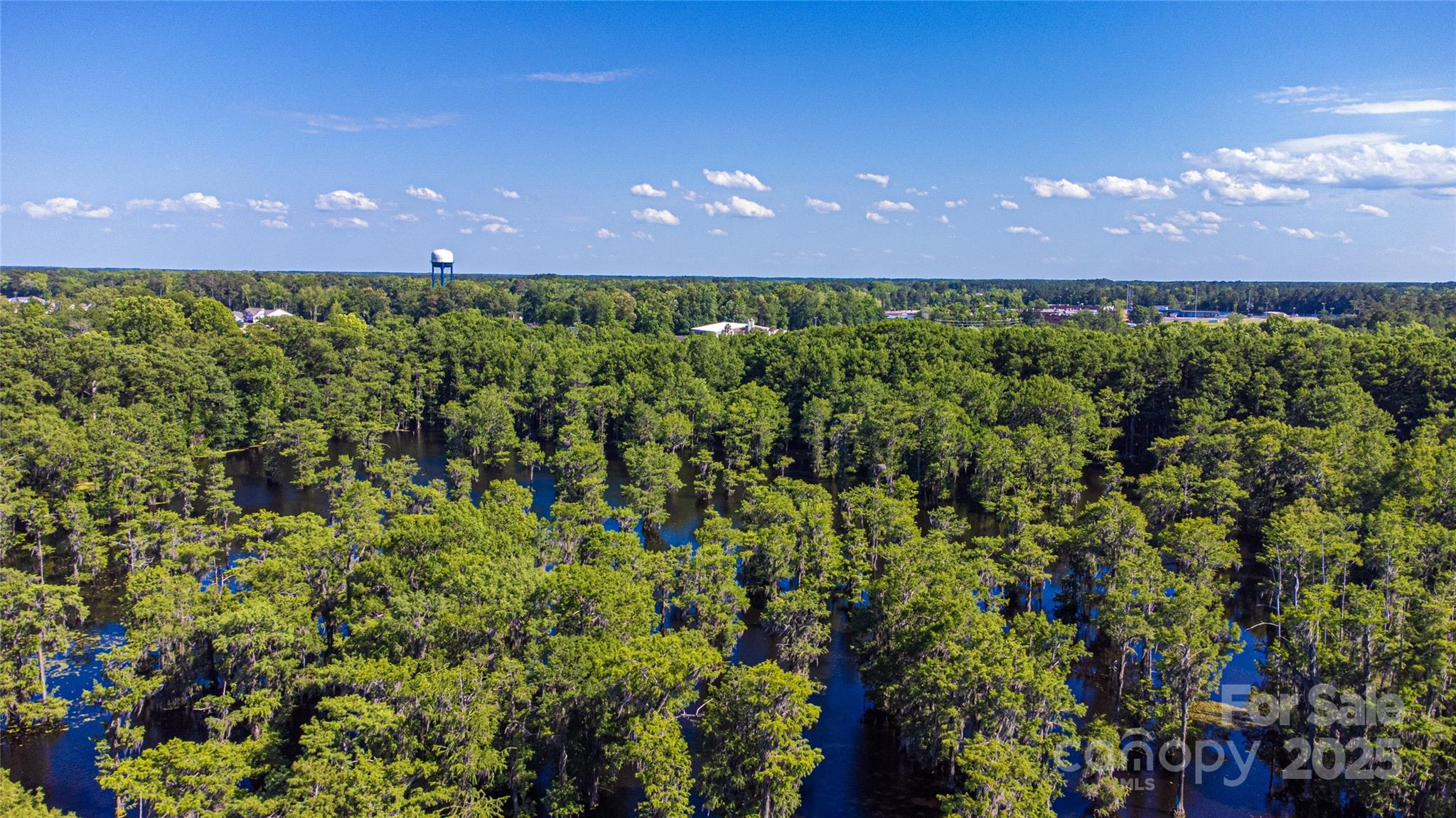 400 Millstone Road Florence, SC 29505 - Photo 45 of 48 a view of a big yard and potted plants