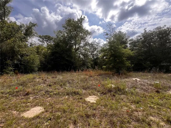 $20,000 | 7095 North Foxdale Drive, Citrus Springs, FL 34434