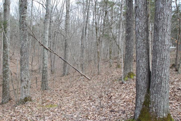 1 Gest Road Frankfort, KY 40601 - Photo 11 of 12 Photo 11