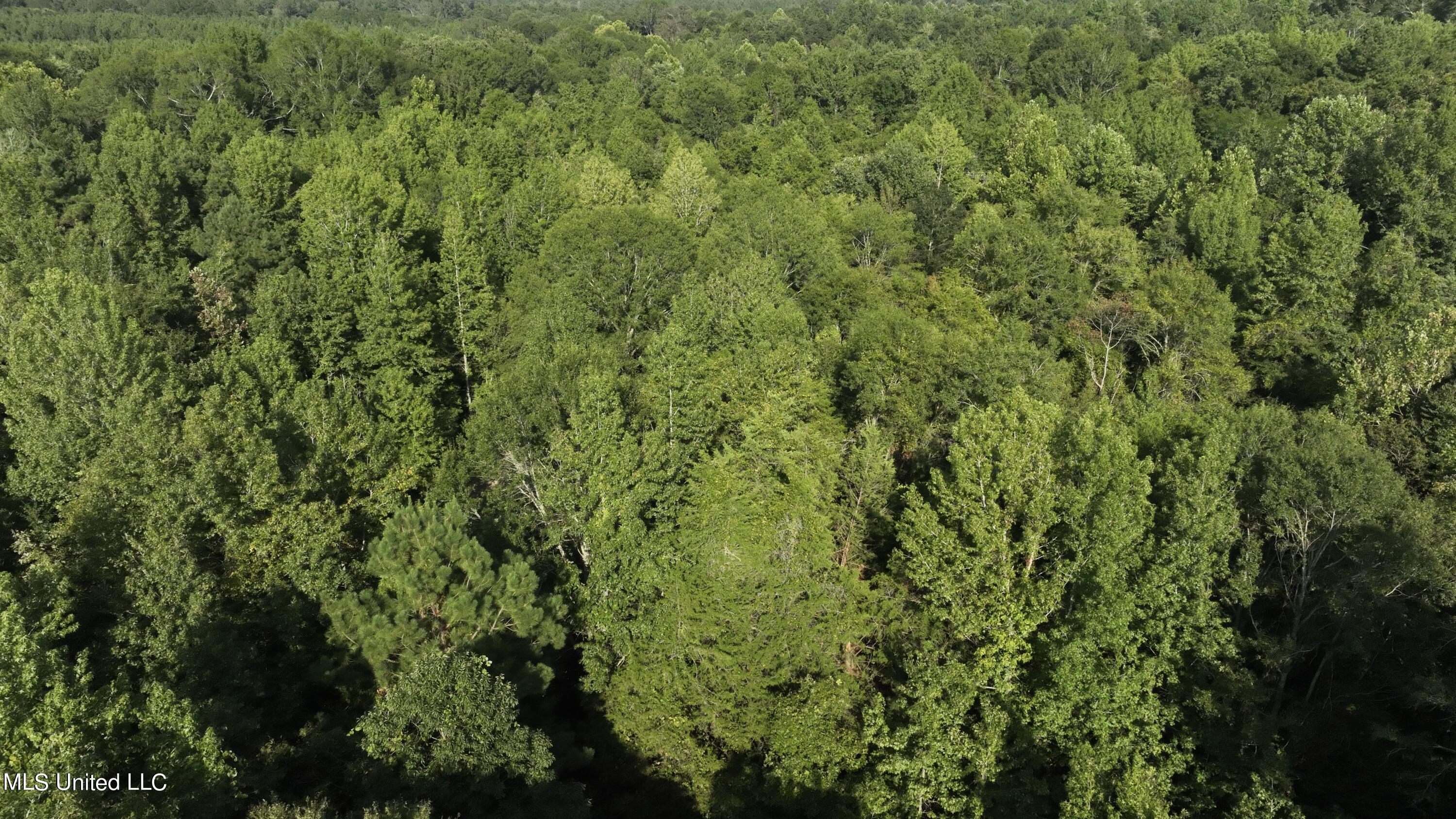 1 Middle Road Edwards, MS 39066 - Photo 14 of 26 B345FFBE-F355-4F70-B71F-AC9A7495E5ED