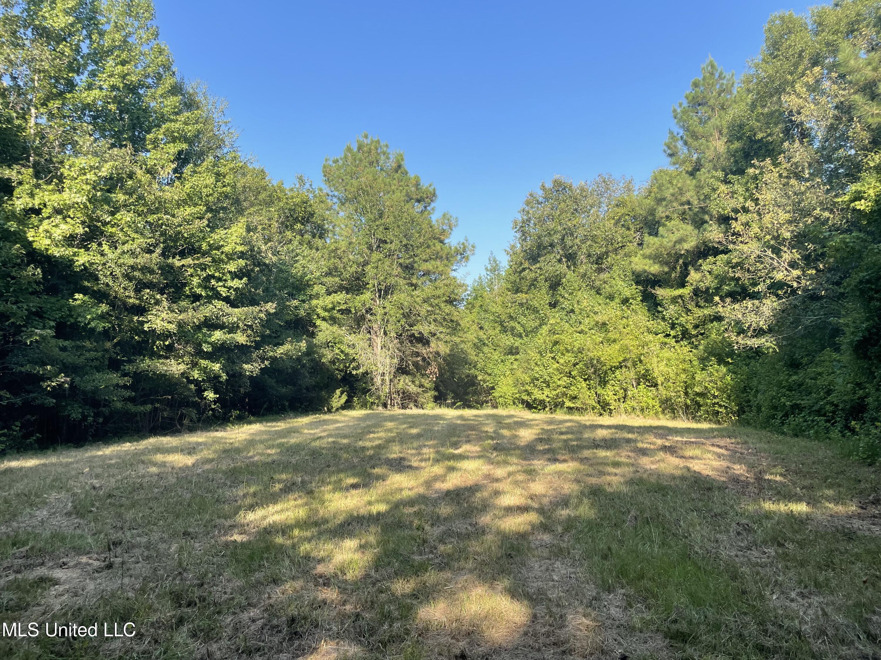 1 Middle Road Edwards, MS 39066 - Photo 19 of 26 CB1BA1BD-522D-43F3-92B5-4508D553FB15