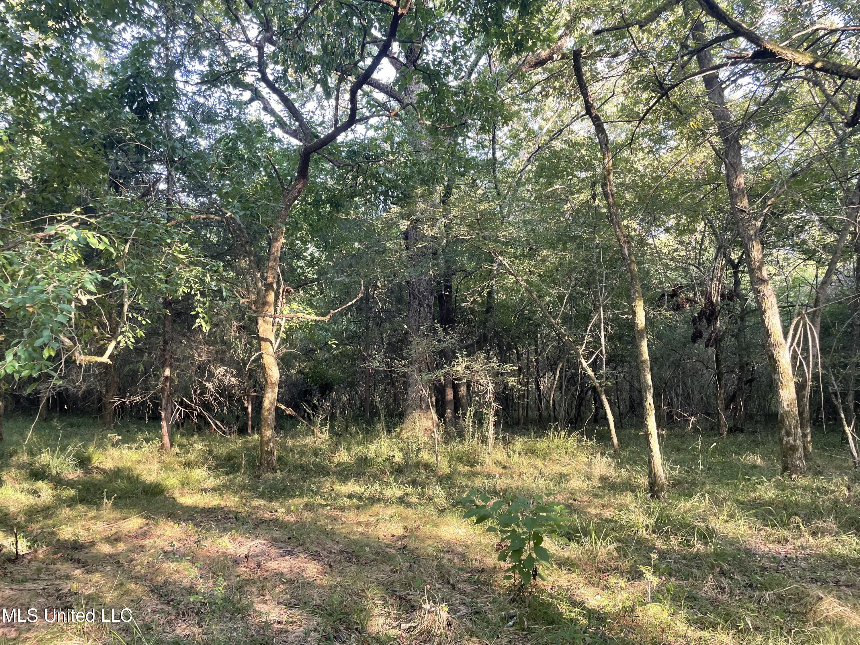 1 Middle Road Edwards, MS 39066 - Photo 2 of 26 244746DB-2B75-4BEE-A159-9068738CA24C