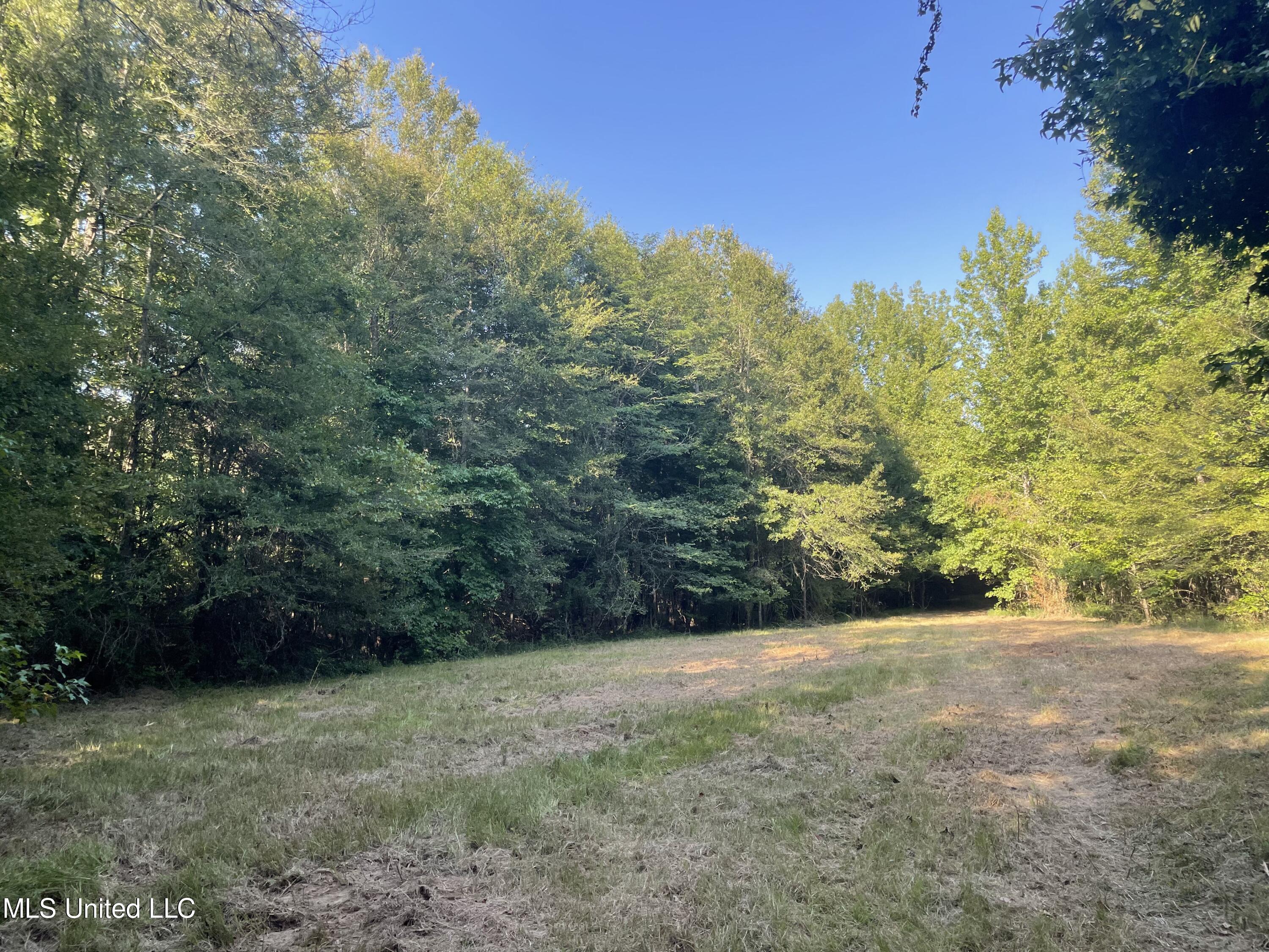 1 Middle Road Edwards, MS 39066 - Photo 23 of 26 AF0C9320-FC66-4C4D-8A4D-8811771CA0CB