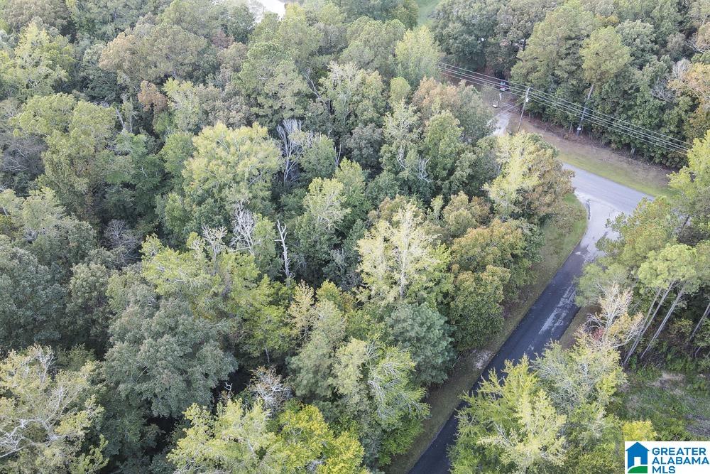 18 Forest Ridge Drive, Unit 23 Jacksonville, AL 36265 - Photo 4 of 9