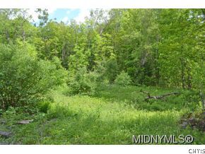 3 Shadd Road Salisbury Center, NY 13454 - Photo 1 of 1 Gallery Image 1