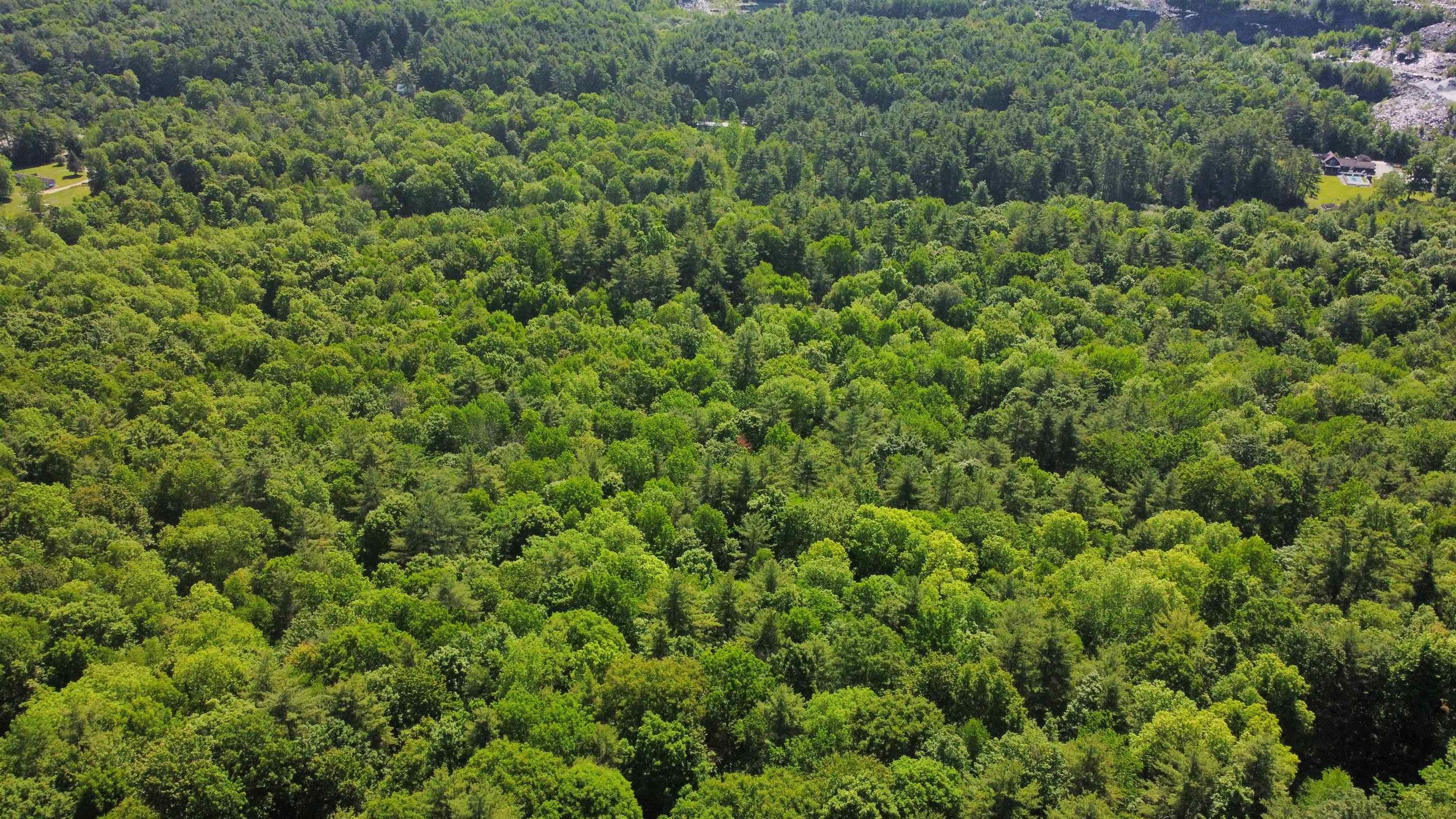 0 Bullfrog Hollow Road Wells, VT 05774 - Photo 22 of 26