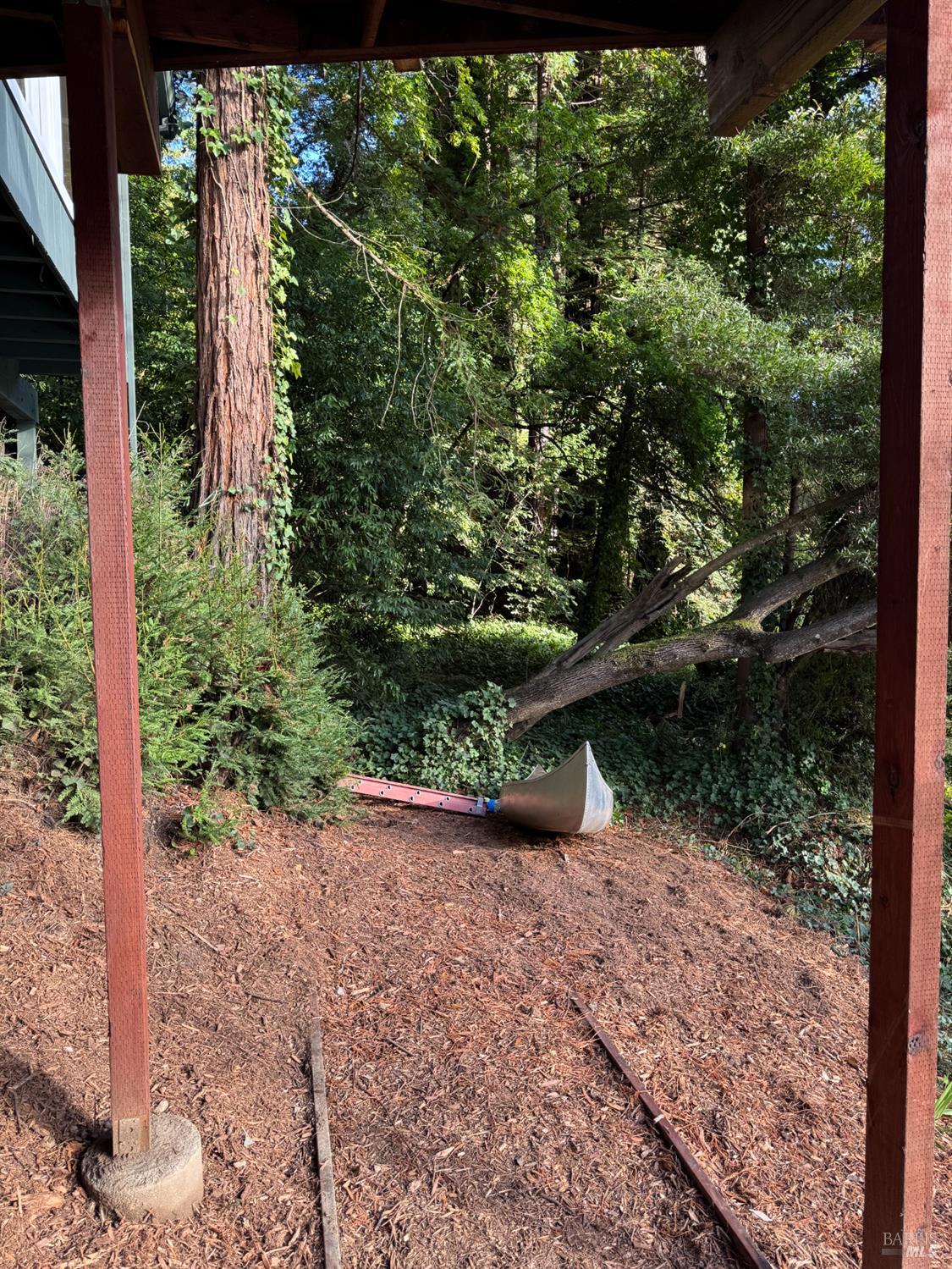 21883 Highway 116 Monte Rio, CA 95462 - Photo 25 of 28 a view of a yard with plants