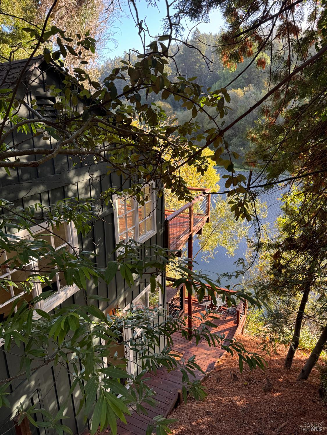 21883 Highway 116 Monte Rio, CA 95462 - Photo 27 of 28 a picture of tree