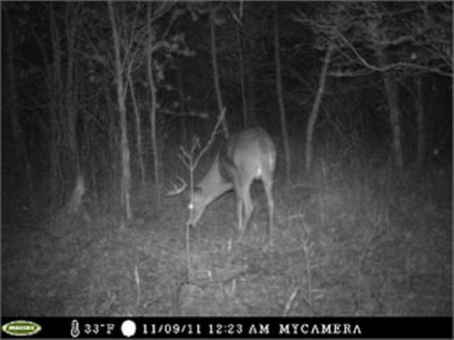 W9917 Davis Road Wausaukee, WI 54177 - Photo 20 of 20 Gallery Image 20