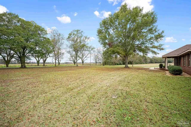 a view of outdoor space with garden and trees