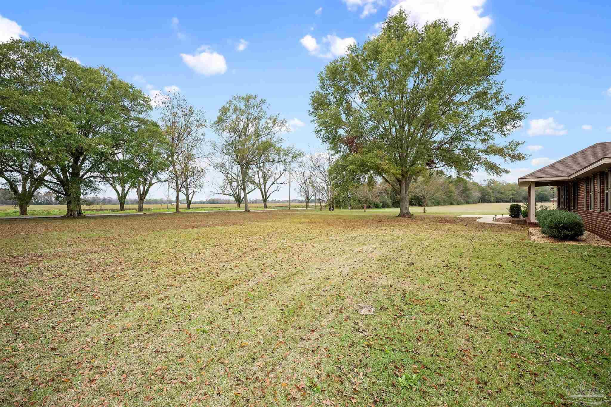 3500 Hazel Godwin Road Jay, FL 32565 - Photo 4 of 67 a view of outdoor space with garden and trees