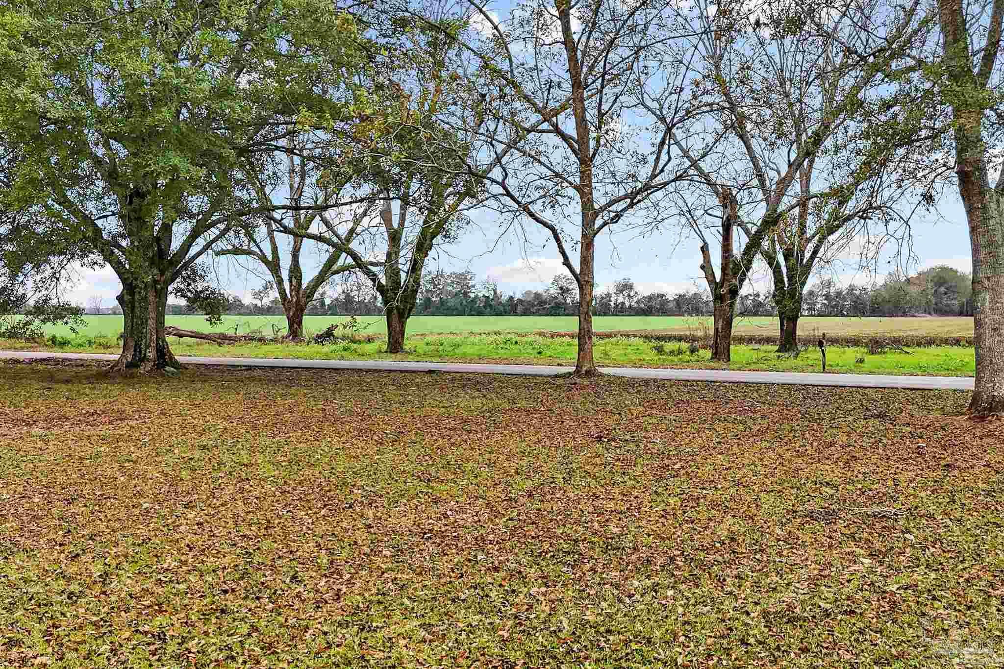 3500 Hazel Godwin Road Jay, FL 32565 - Photo 66 of 67 a view of outdoor space with deck and green space