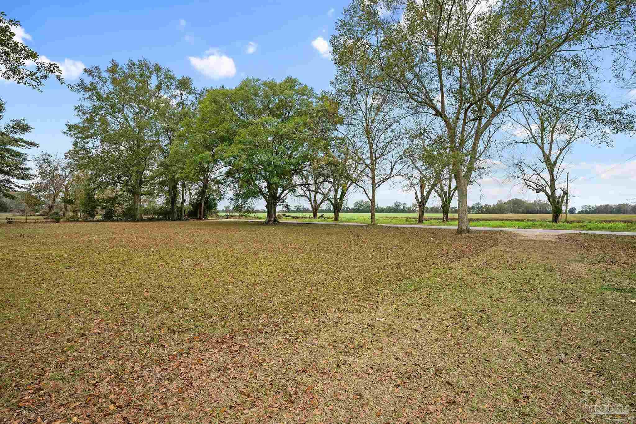 3500 Hazel Godwin Road Jay, FL 32565 - Photo 67 of 67 a view of outdoor space with yard