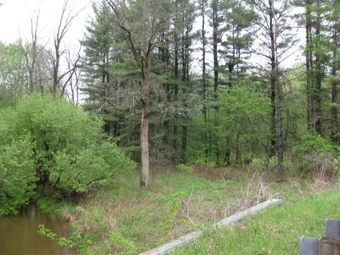 4033 Salt River Road Shepherd, MI 48883 - Photo 1 of 13 1799525.JPG