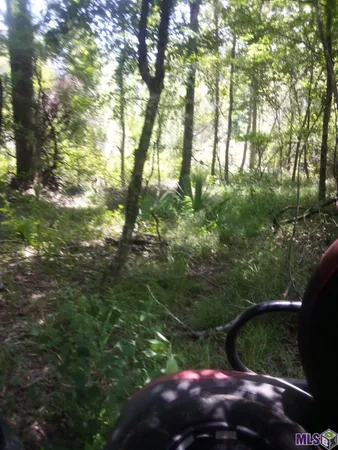 $300,000 | Tbd Tbd Kathy's Cove, Walker, LA 70785