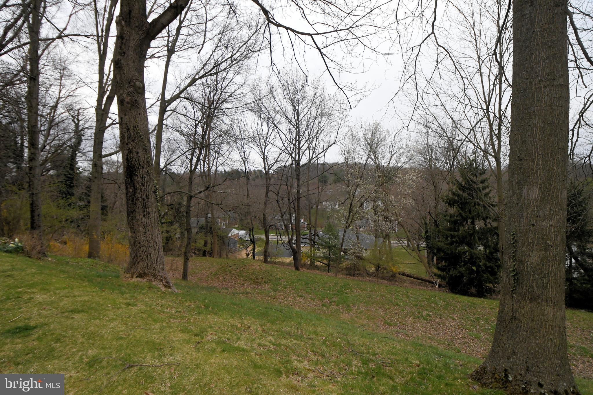 8816 Wainwright Road Glenside, PA 19038 - Photo 41 of 49 Back yard