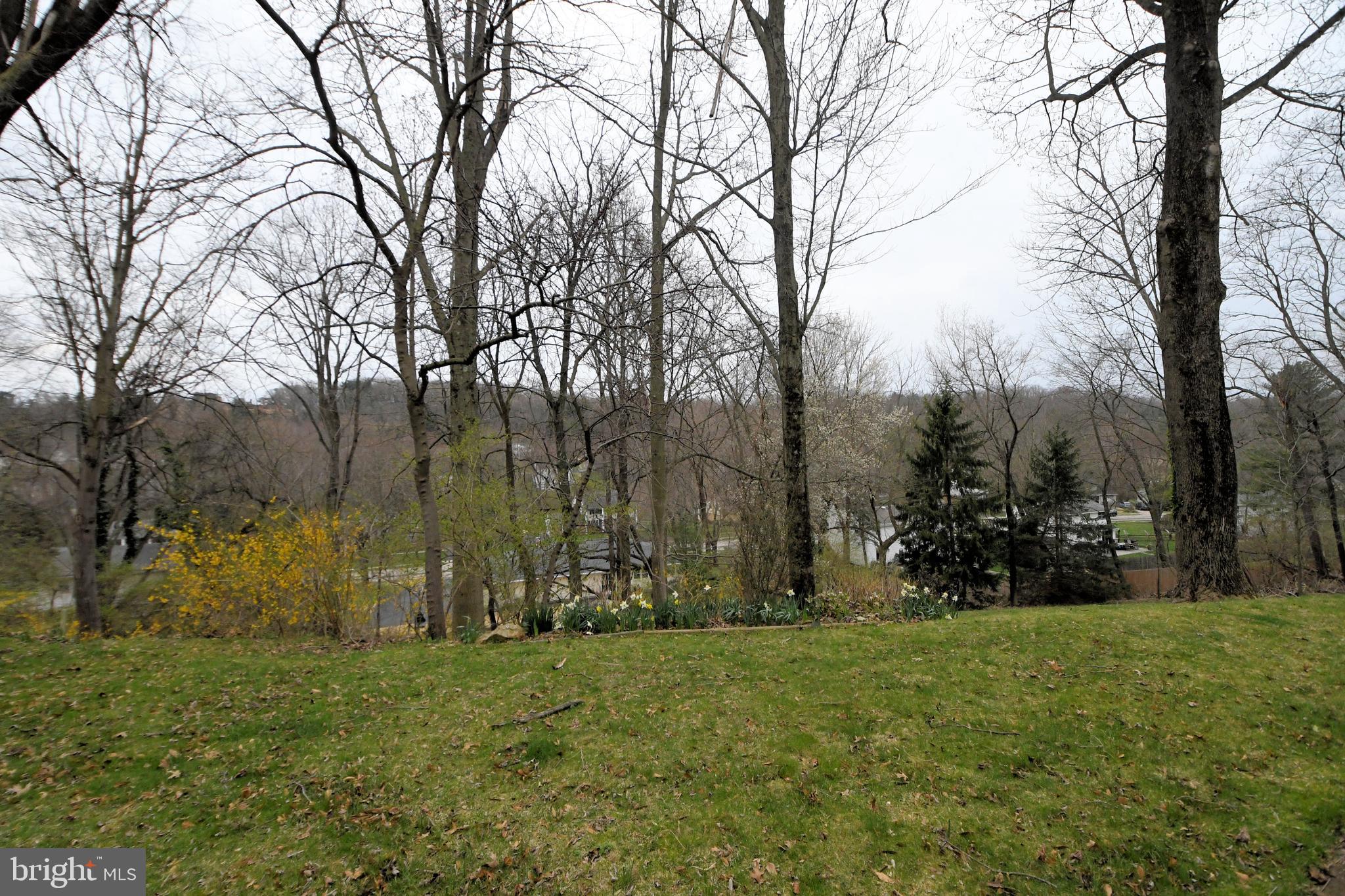 8816 Wainwright Road Glenside, PA 19038 - Photo 46 of 49 Gallery Image 46